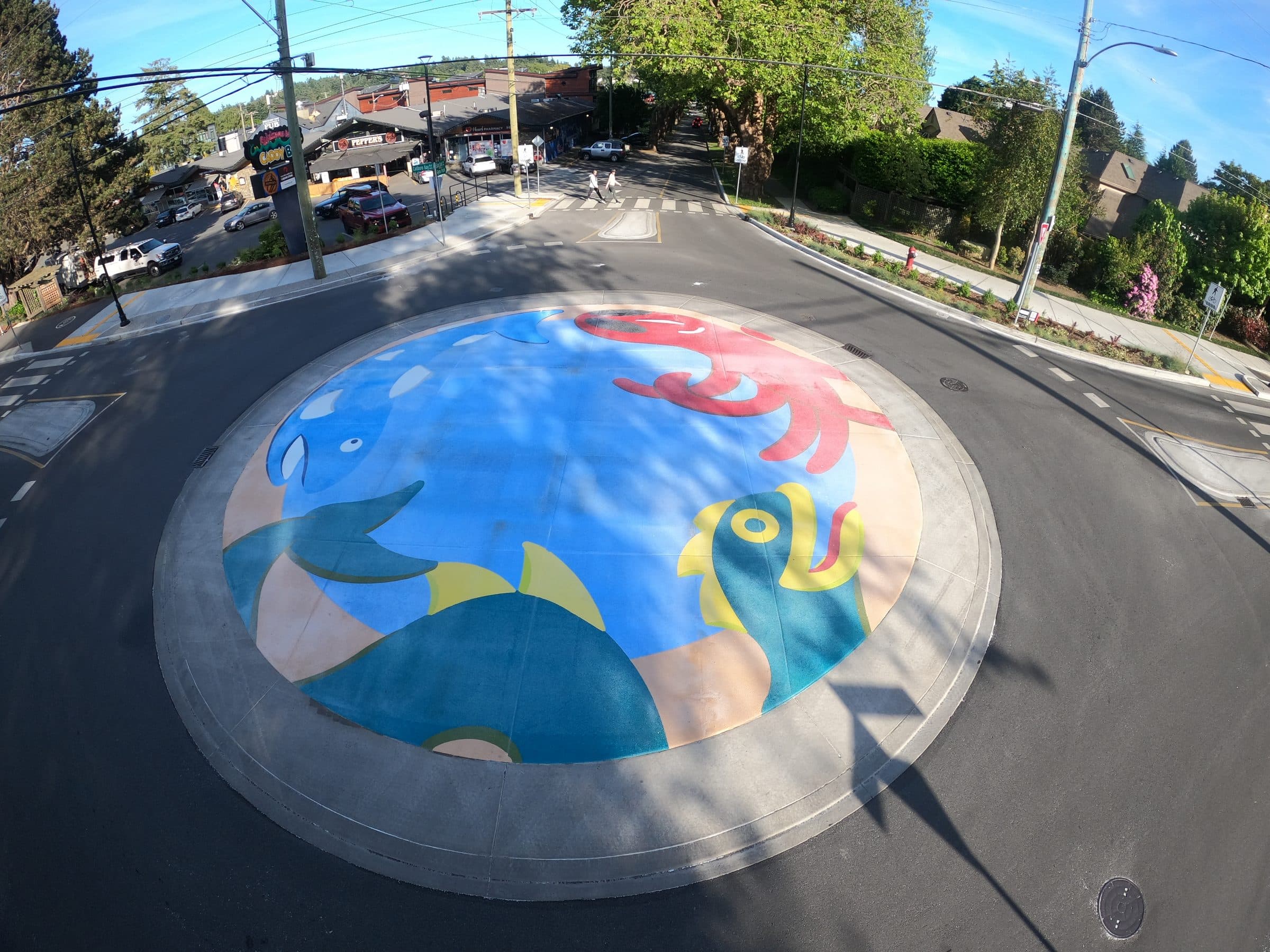 An octopus and fish on a blue sea, painted in StreetBond on the traffic circle in Cadboro Bay Village, Saanich, seen from above