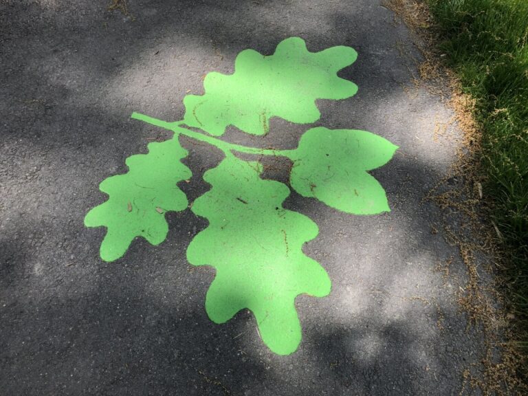 Decorative asphalt sidewalk with thermoplastic closeup decal at Reunion housing development in Langley BC Canada